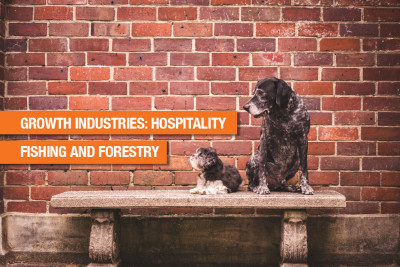 Growth industries: hospitality
